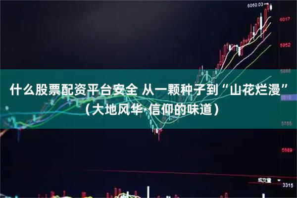 什么股票配资平台安全 从一颗种子到“山花烂漫”（大地风华·信仰的味道）